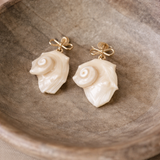 Ginny Bow Conch Shell Earrings