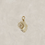 Shell Charms