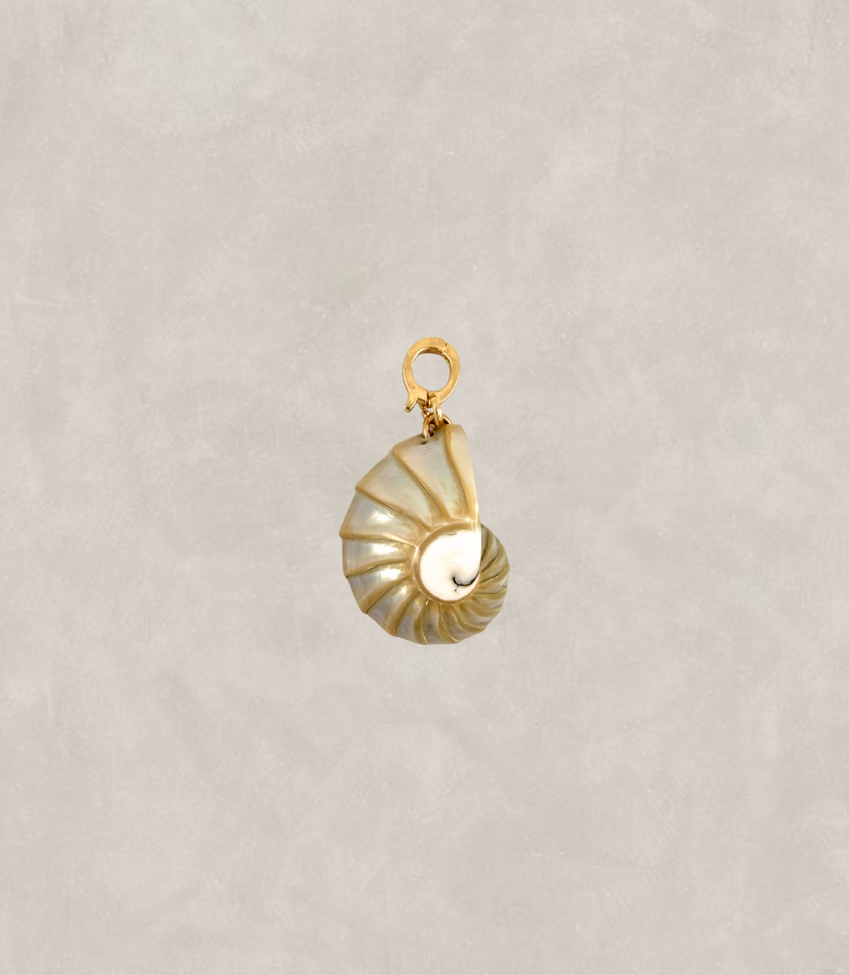 Shell Charms