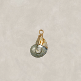 Shell Charms