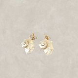 Ginny Bow Conch Shell Earrings