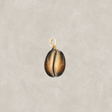 Shell Charms