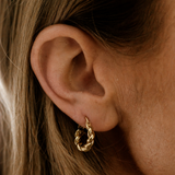 Zoe Twist Hoop